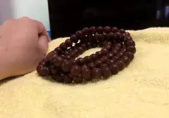 Item thumbnail for item 043dbb0b-612a-489b-ba5e-9876e130554b