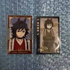 鬼滅の刃 午年 フォトカード 冨岡 義勇