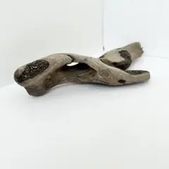 【43】アクアリウム流木