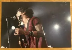 2026年最新】細美武士 ポスターの人気アイテム - メルカリ