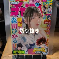 週刊少年チャンピオン 2024年 50号 聖闘士星矢THEN 廃墟の花 - メルカリ