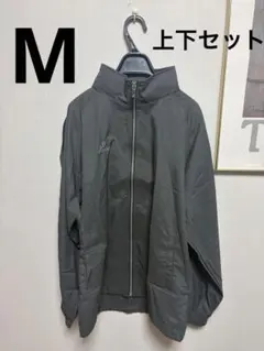 Item thumbnail for item d0819533-71dd-4b6b-a1a3-3eeac9e0019e