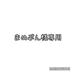まめぷん様専用