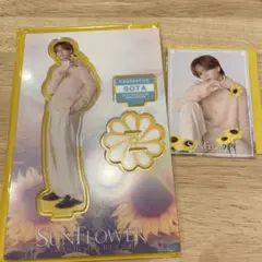 SUNFLOWER 中島颯太 アクスタ、フォトカードセット
