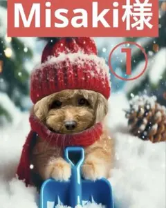 Misaki様専用ページ①
