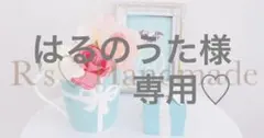 はるのうた様　専用♡