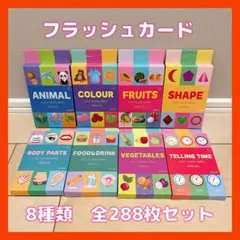 8種類 英単語 フラッシュカード 全288枚 子ども 遊び ゲーム 知育玩具