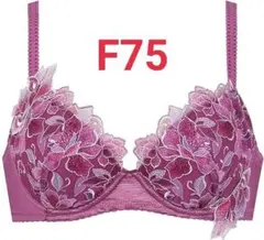 ウィング レシアージュ F75 胸ふっくらのサムネイル