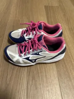 Item thumbnail for item 65013484-7c0d-4521-87fb-36d837ffafe5