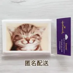 Hallmark ネコ メッセージカード 6枚セット ねこ 猫 cat