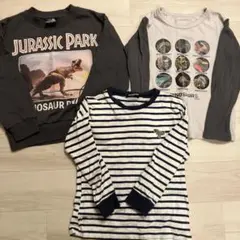 ジュラシックパーク トレーナー　1枚