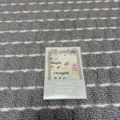 Stray Kids SKZOO DECO SET チャンビン