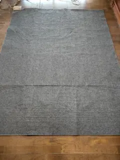 2025年最新】Panasonic 畳数：3畳～ ホットカーペット・マットの