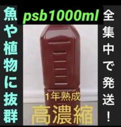 ホテイアオイ　ホテイソウ(psb 浮き草　アマゾンフロッグピット　水草　ホテイ草のサムネイル