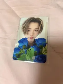 treasure ナイトガーデンアサヒ　トレカ