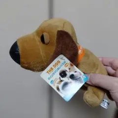 Item thumbnail for item 6db46273-6141-44d2-9917-f22974ba8b4b