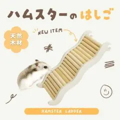 ハムスターのはしご 木製 波型 スロープ ステップ おしゃれのサムネイル