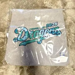 中日ドラゴンズ 沖縄キャンプ限定 バッグ