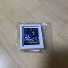 埼玉西武ライオンズ ハイライト ガチャ 額縁クリップ A.ワイナンス