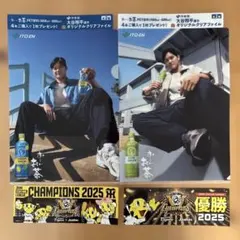 Item thumbnail for item 0121b960-d6c7-4aef-863b-a995f183a604