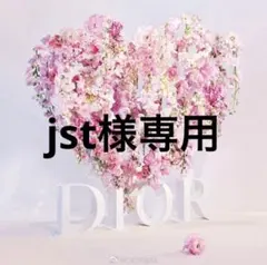 DIOR ブラックメッシュポーチ 箱付き　新品