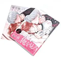 愛で縫ってキスでふさいで　はやし燈　アニメイト