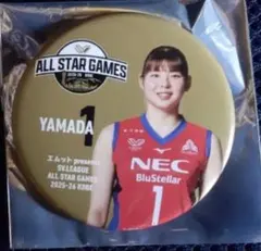 Item thumbnail for item 32ff7bce-b2ad-4257-9a7b-e20522b6a90b