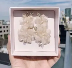 美品　エリザベスバウワー　Elizabeth Bower ピアス