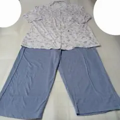 アミューズメントパーク柄七分丈パジャマセット　ＬＬ