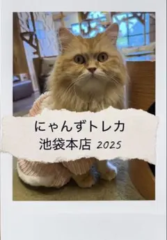 2026年最新】にゃんずトレカの人気アイテム - メルカリ