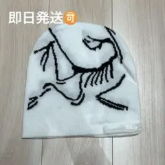 【新品】ホワイトビーニー　ニット帽　帽子　スケーター y2k グランジ