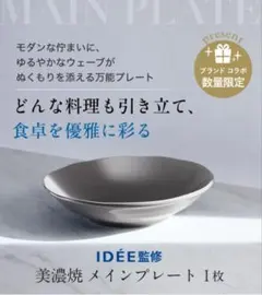 【新品未開封】アテニア IDÉE監修 美濃焼メインプレート皿のサムネイル