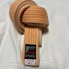 Item thumbnail for item 47f41391-8325-4775-ac2c-65032d134039