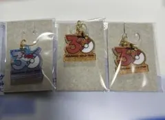 ポケモン ポケチャーム 30周年ロゴマスコット