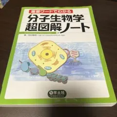 Item thumbnail for item 78eac8b0-c864-416e-a8c9-406d49f63961