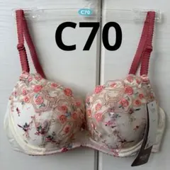 Item thumbnail for item 08a0bcd6-cb8b-415f-831e-ad7ee9703752