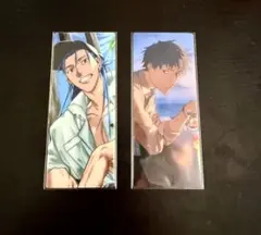 Fate FGO 最終再臨展 編成画面風カード クーフーリン 水着 霊衣5枚
