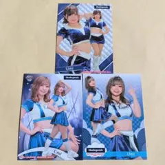 Zクリパンダ様 リクエスト 3点 まとめ商品