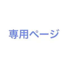 専用ページ