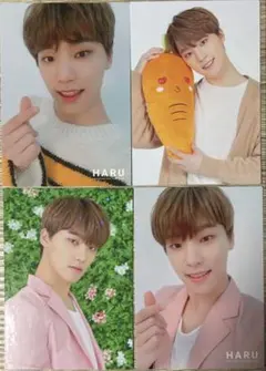 SEVENTEEN HARU DINO ディノ トレカまとめ売り