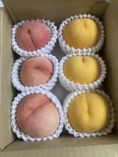 岡山県産一宮ブランド マンゴーピーチ B級品 5個セット 1.4kg【④