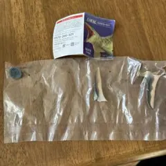 プテラノドン 恐竜発掘記　白亜紀～最強恐竜の時代～ 海洋堂 カプセルQ