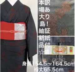 訳あり！証紙付き新品！本場大島紬☆正絹着物☆濃紺×赤い花々、雲取り、束ね熨斗