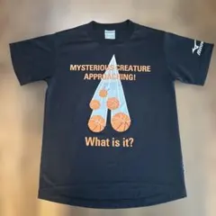 しゃもこ様専用MIZUNOミズノバスケＴシャツ