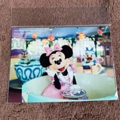 イマジニングザマジック　写真　ミニー　実写