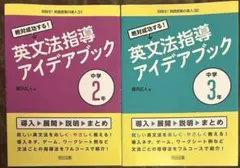 代ゼミテキスト トドメを刺す レベルアップ英語 二学期 峨家崇 代々木