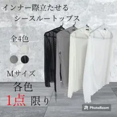 シースルー　タートルネック　インナー　長袖　韓国風 新作