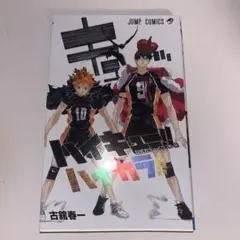 ハイキュー!! 公式カラーイラスト集 ハイカラ!!