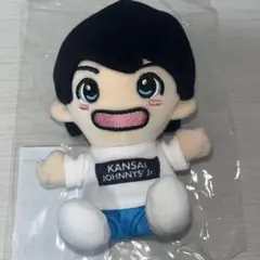 2025年最新】lilかんさい ちびぬいの人気アイテム - メルカリ