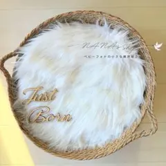 Item thumbnail for item a525cc78-c26e-4387-9990-64711cbc79bc